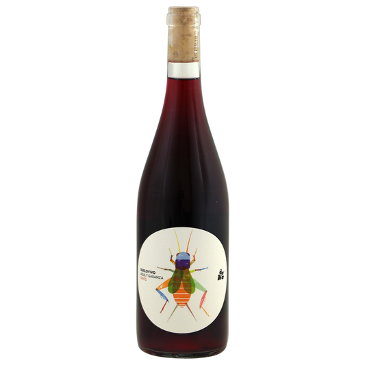 Suelo Vivo tinto   🍷  van kleine wijnboeren
